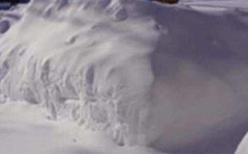 ����ѩ������