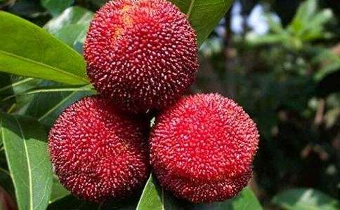 ���Ґ�(��i)���l�ė�÷���̰�