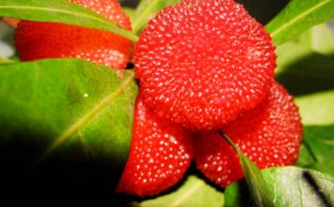 ���Ґ�(��i)���l�ė�÷���̰��OӋ