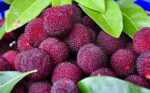 ��÷ɽ��ɫ������