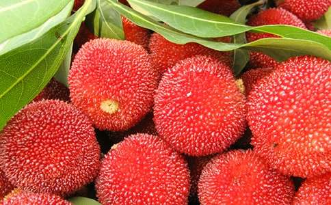 ��÷����600�־�ƪ