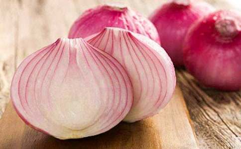 洋蔥觀(guān)察日記(通用25篇)