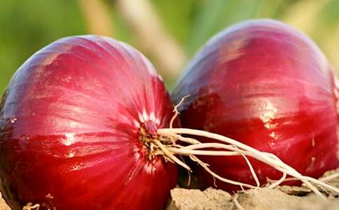 �N���[ӛ��������