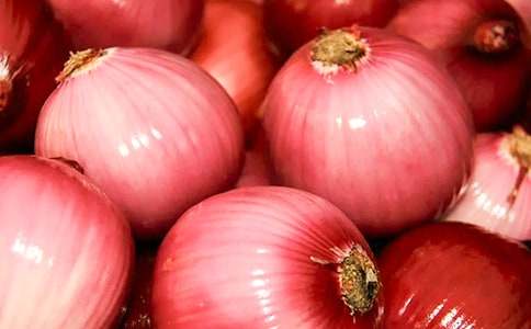 描寫(xiě)洋蔥的作文(精選6篇)