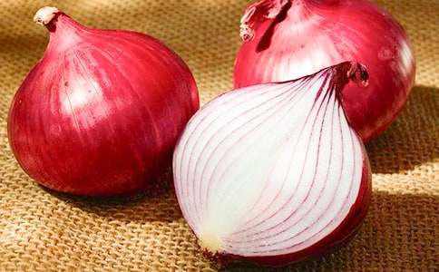 讀洋蔥頭歷險記初一作文