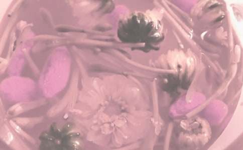 用感恩滋養生命活力作文