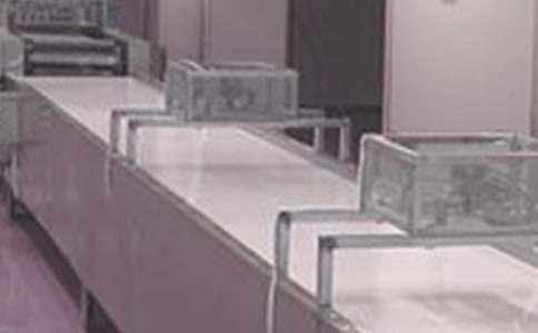 藥廠(chǎng)個(gè)人實(shí)習報告