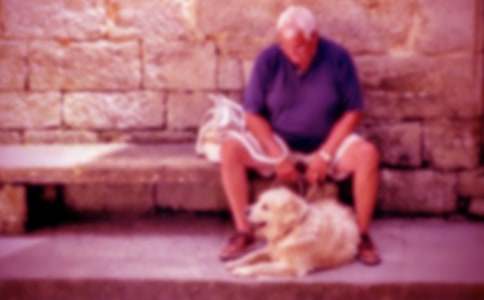 ��������С��(sh��)���̰�����