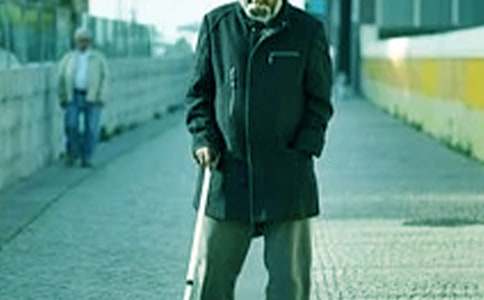 《爺爺和小樹(shù)》的教案輔導