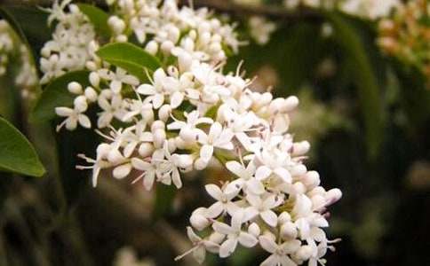 �茑(xi��)ҹ��(l��i)��ă�(y��u)������600�֣�ͨ��23ƪ��