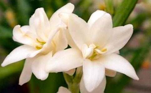 �茑(xi��)ҹ��(l��i)��ă�(y��u)������