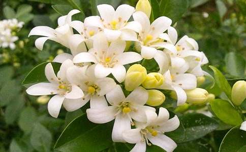 ���_(k��i)�ĕr(sh��)��-ҹ��(l��i)�㣺���w��