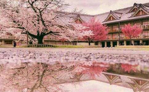 �ѻ��\�Z(y��)��(y��u)��������