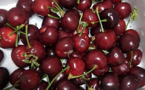 我喜歡櫻桃樹(shù)的作文