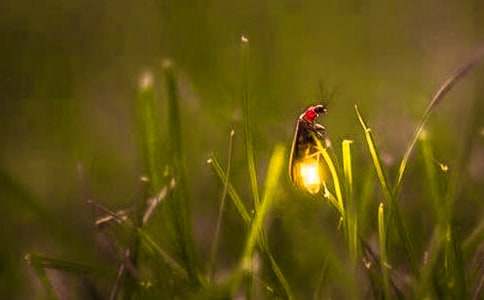 ��(j��ng)��ͯԒ(hu��)���£�Ξ���x(ch��ng)����