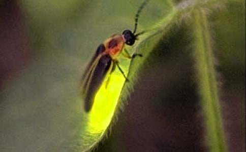 �����е�Ξ���x(ch��ng)