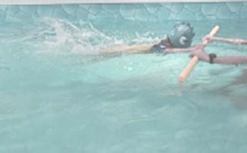 С�u�W(xu��)��Ӿ���D��(xi��)Ԓ(hu��)���ģ����x18ƪ��