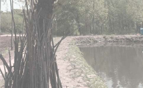 �������~(y��)�����ģ����x23ƪ��