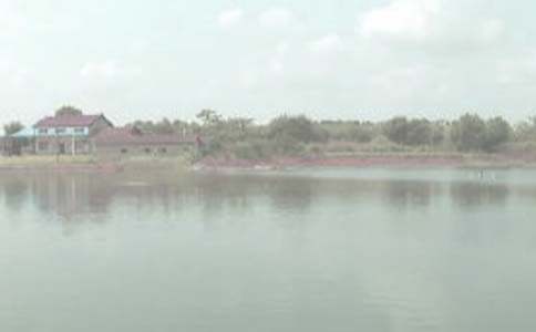 �������~(y��)������