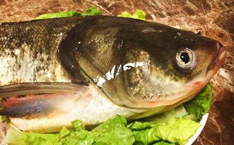 ������(��i)���~(y��)�^����(hu��)���ģ�ͨ��12ƪ��