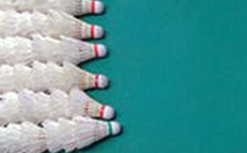 打羽毛球的作文500字