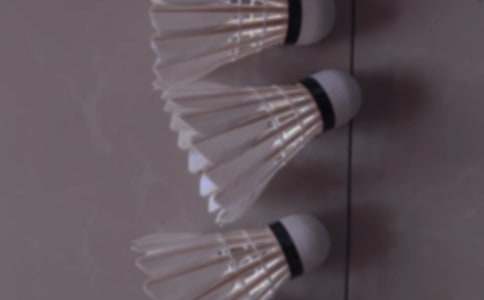 ���ְ֌W(xu��)����ë������300�֣�ͨ��21ƪ��