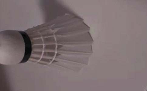 �ҵ��n������_����ë������350��