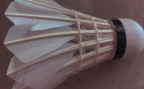 �����T(m��n)����ͥ��ë��������2ƪ