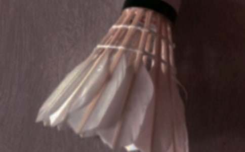 ��Ȥ�ļ�ͥ��ë���ِ���ģ����x38ƪ��