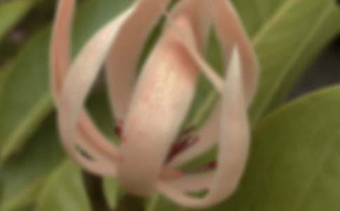 ���������m������