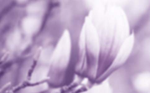 �茑(xi��)���m�����ģ����x49ƪ��