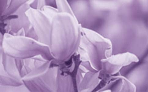 �茑(xi��)���m��������300��