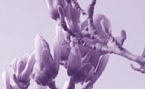 ���m��С�W(xu��)����