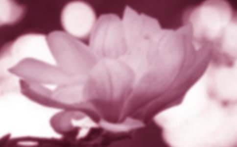 �Ґ�(��i)���m��400������