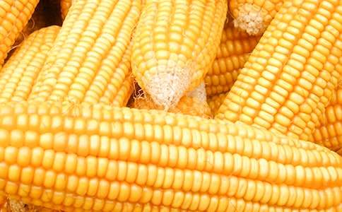 �����L(f��ng)⏵�ͯԒ(hu��)����