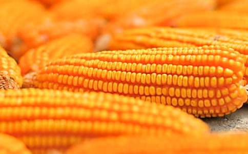 ���l��ճ��������2000��