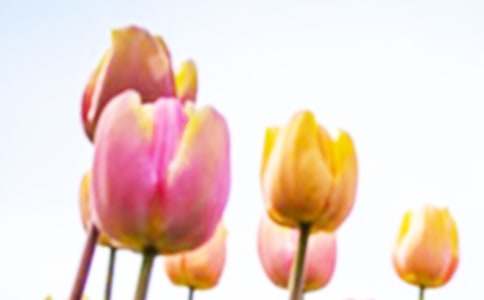 õ���������С������