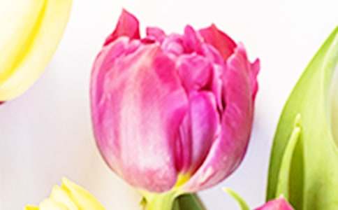 ���������������ąR��15ƪ