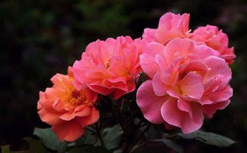 �¼�����700��