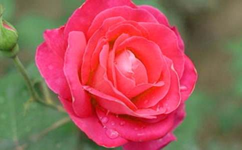 �¼���400�����ģ�ͨ��25ƪ��