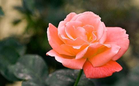 �^(gu��n)���¼�������(�ϼ�10ƪ)