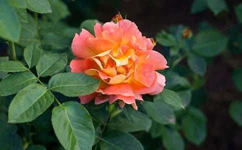 �^(gu��n)���¼�����С�W(xu��)����