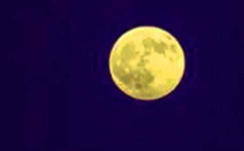 �A֮ҹ��������