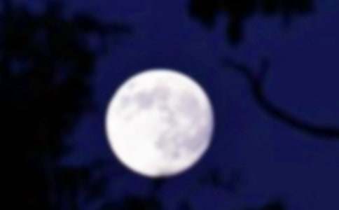 難忘的月圓夜作文