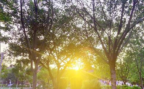 2025���־�簲�Z(y��)�28�l