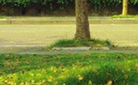 ��־�簲�Z(y��)䛣�ͨ��45�䣩