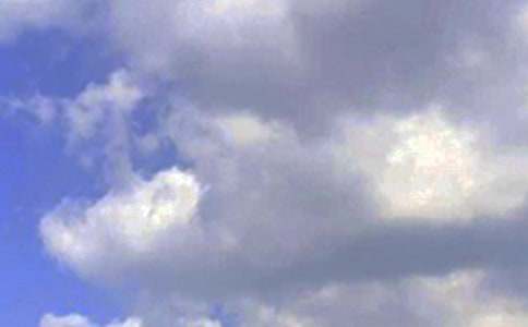 �P(gu��n)���簲��־�����Z(y��)�