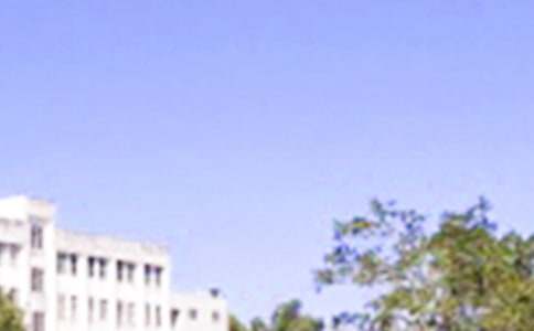 簡(jiǎn)約早安寄語(yǔ)