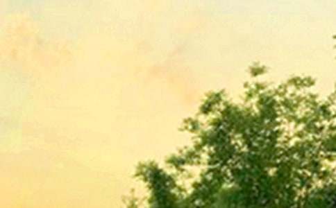 ��ܰ���簲��(w��n)���Z(y��)�Z(y��)�22��