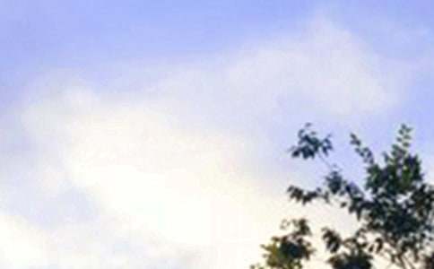 ���x�簲���Z(y��)�Z(y��)䛅R��46�l